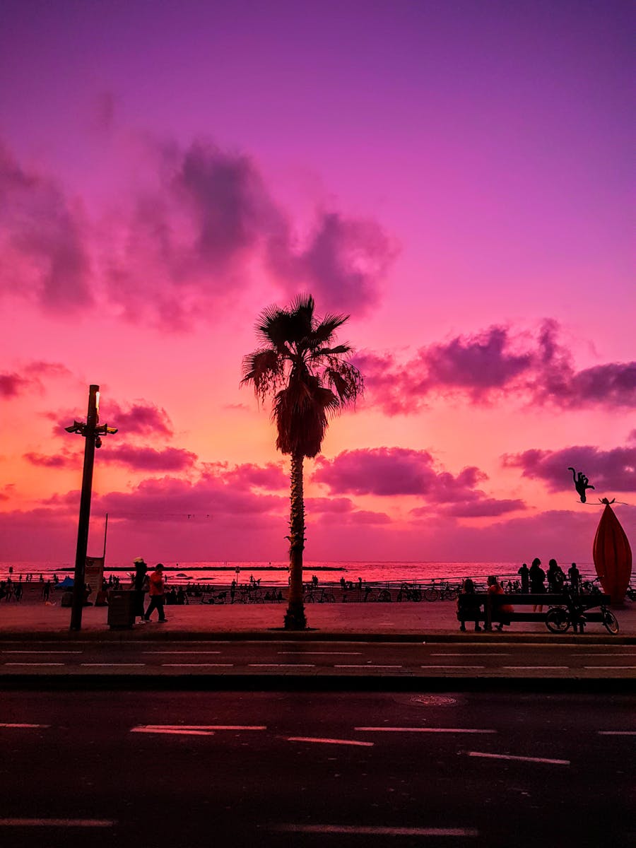 A stunning sunset with vibrant colors silhouetting a palm tree by the ocean, creating a tranquil scene.